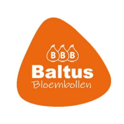 Baltus Bloembollen